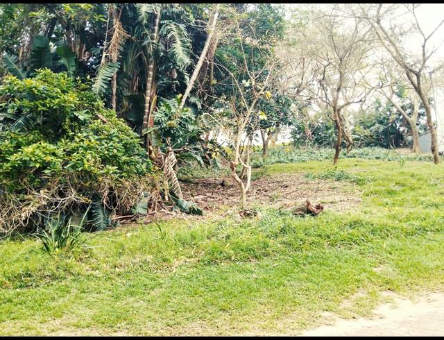 518M² VACANT LAND FOR SALE IN PRINCE'S GRANT GOLF ESTATE
